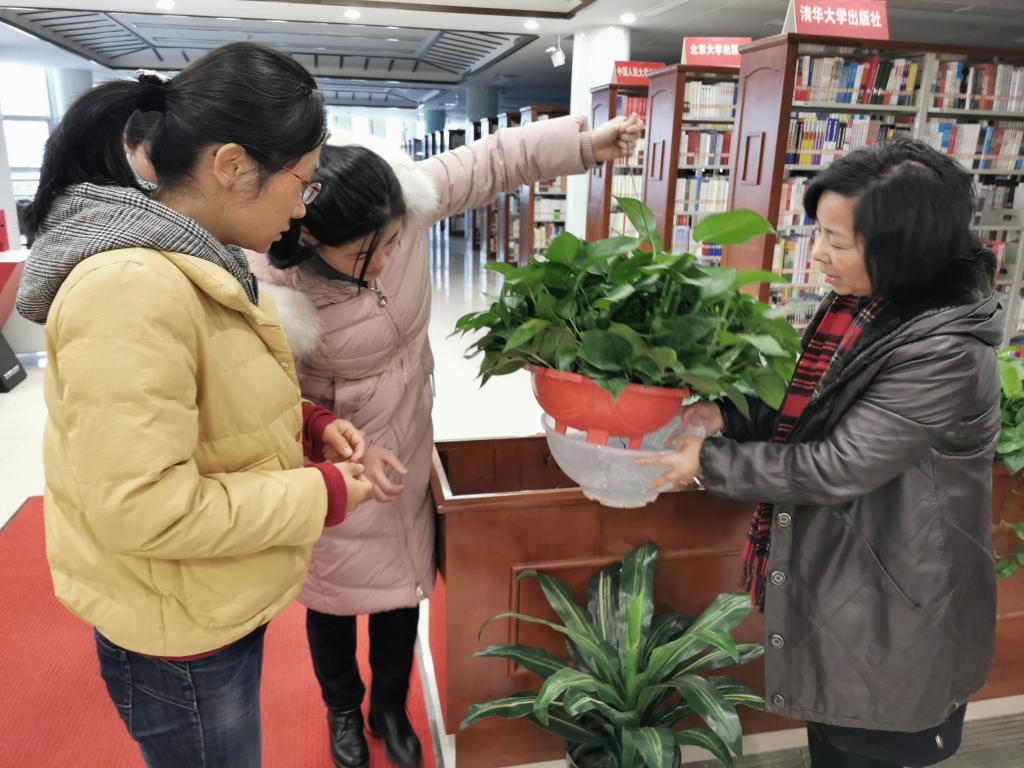 香港正版全年资料大全